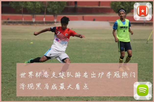 世界杯各支球队排名出炉夺冠热门浮现黑马成最大看点