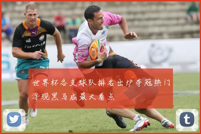世界杯各支球队排名出炉夺冠热门浮现黑马成最大看点