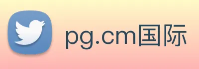 pg.cm国际 logo